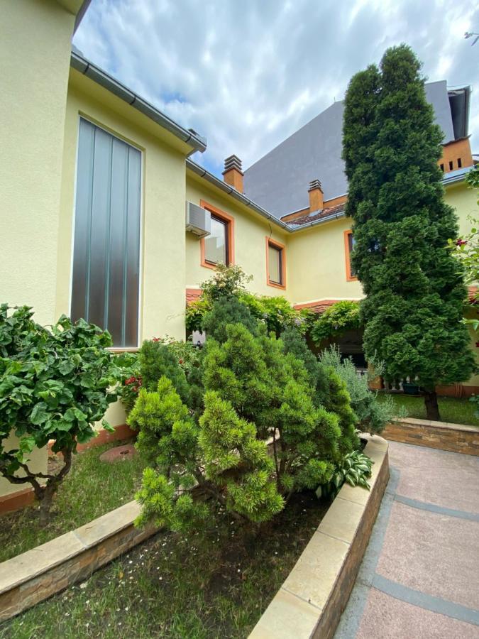 Apartmani Rajin Vrsac Bagian luar foto