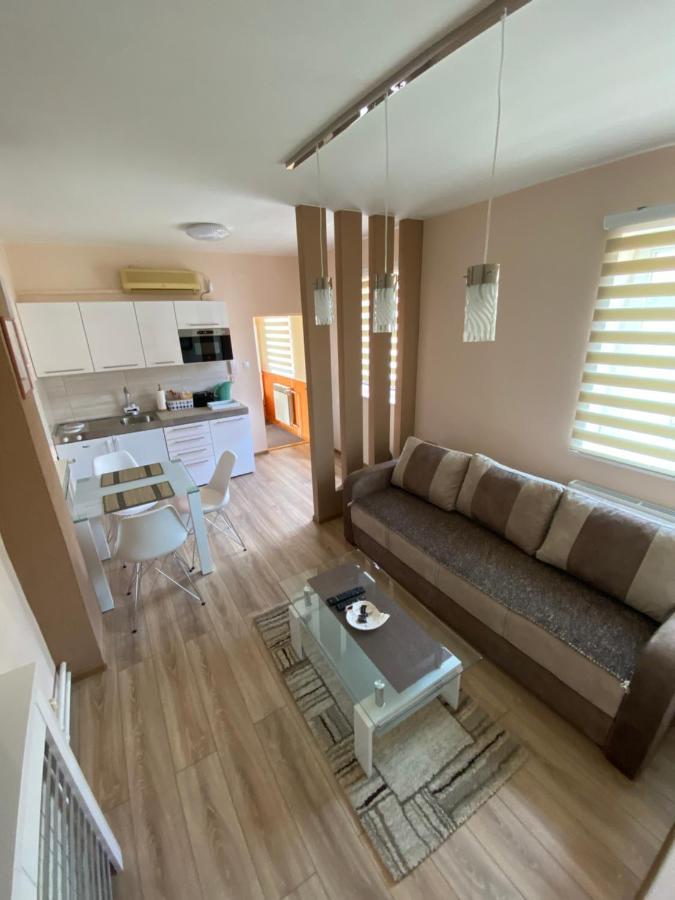 Apartmani Rajin Vrsac Bagian luar foto