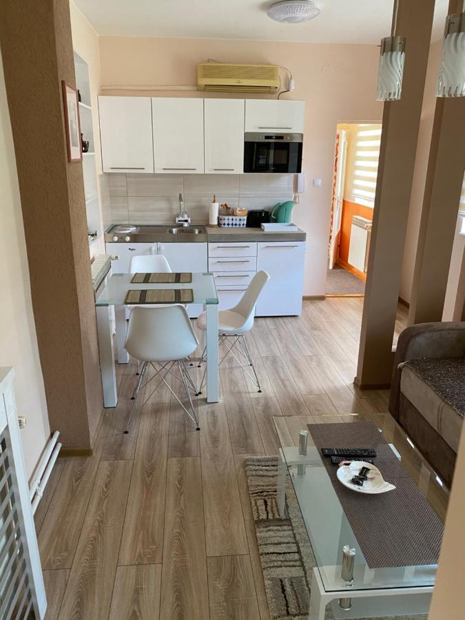 Apartmani Rajin Vrsac Bagian luar foto