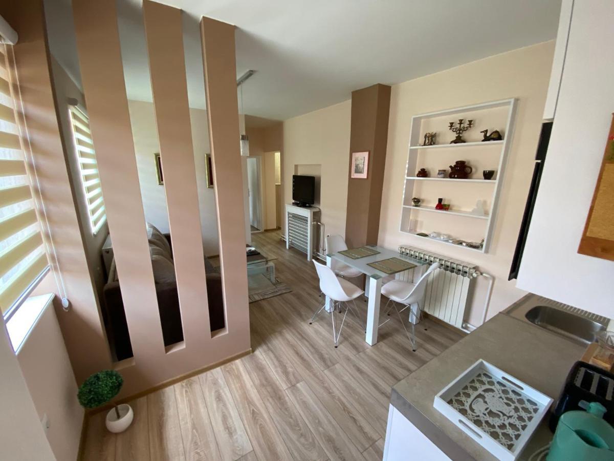 Apartmani Rajin Vrsac Bagian luar foto