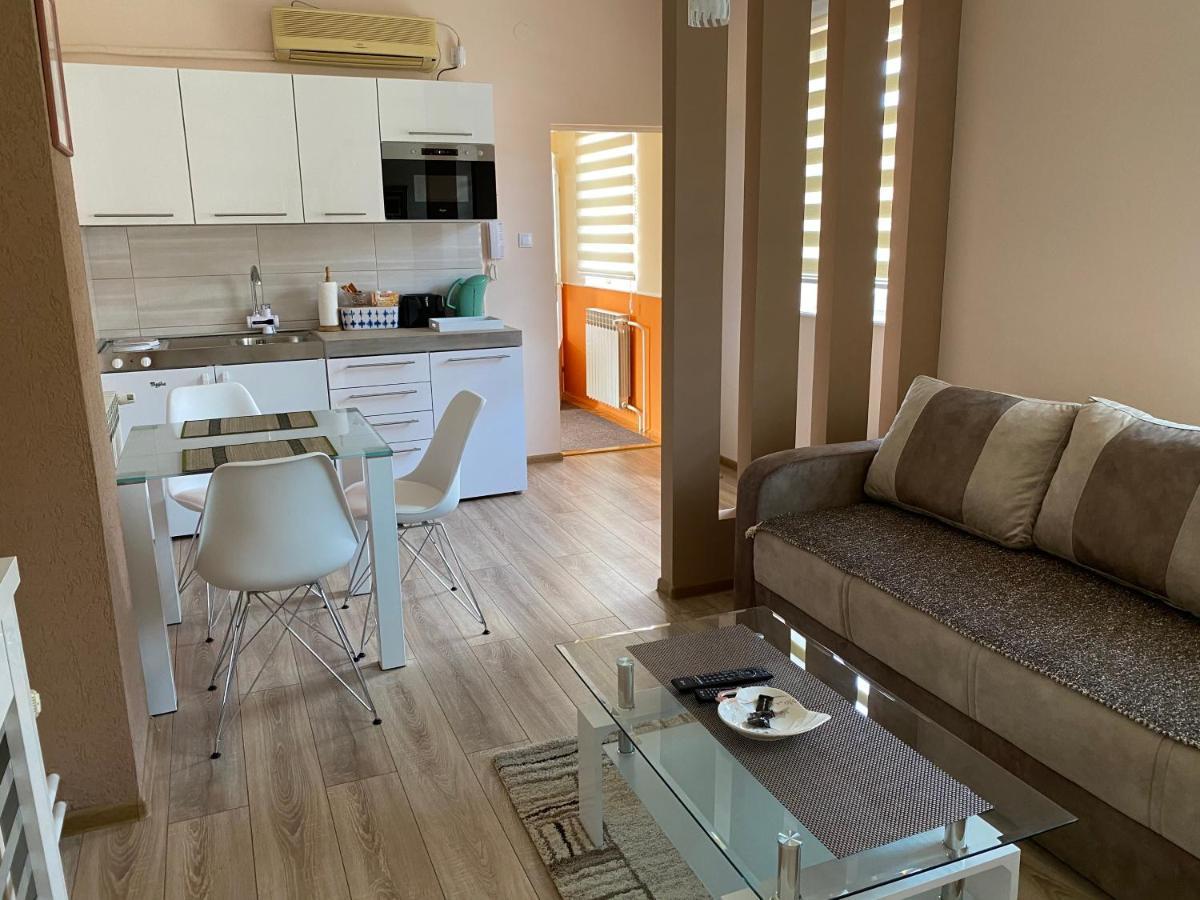 Apartmani Rajin Vrsac Bagian luar foto