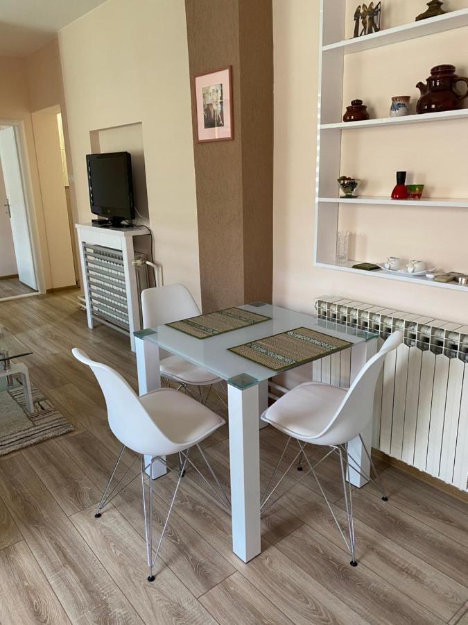 Apartmani Rajin Vrsac Bagian luar foto