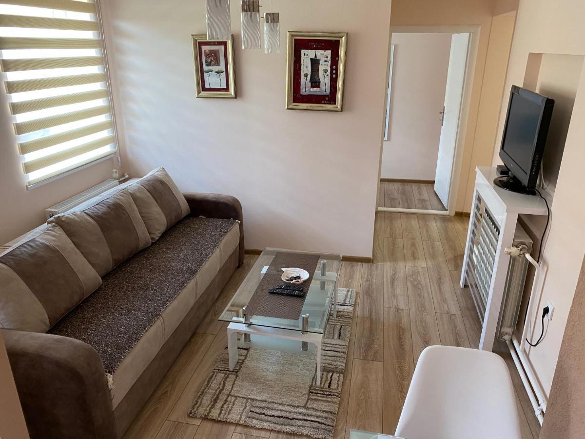 Apartmani Rajin Vrsac Bagian luar foto