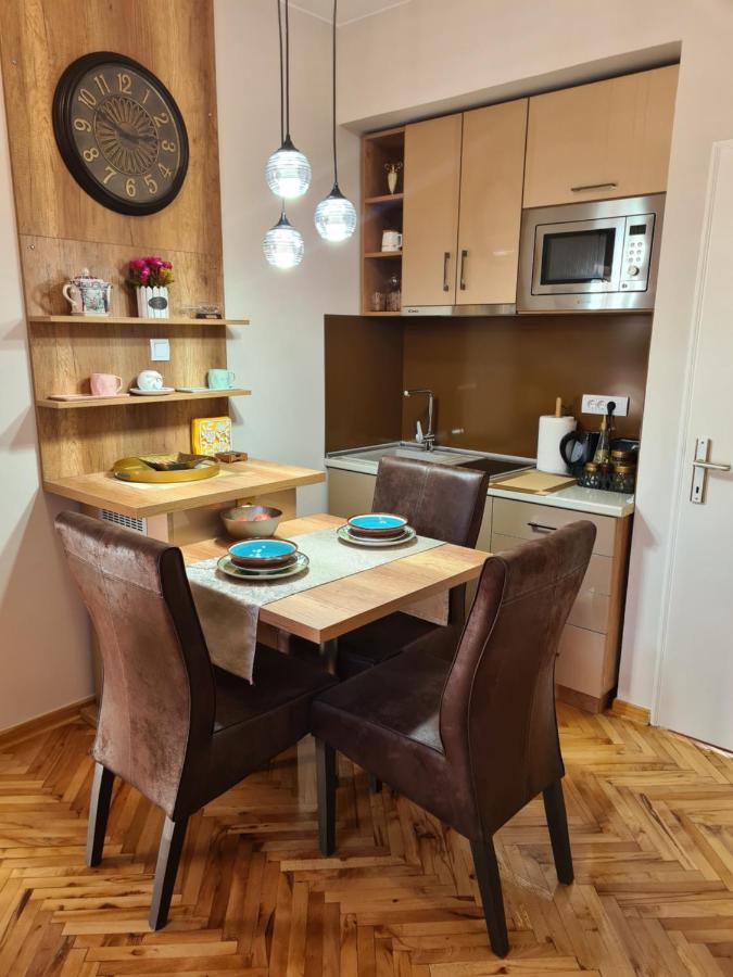 Apartmani Rajin Vrsac Bagian luar foto